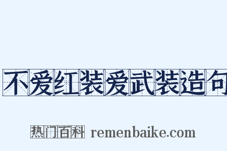 不爱红装爱武装造句是什么意思的图片